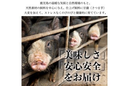 No.725 ＜定期便・全5回(連続)＞鹿児島産黒豚味わい尽くしコース(黒豚味噌漬けや炭焼き焼豚、ウインナー、切り落とし肉、フランクフルト、黒豚ロース肉)国産 九州産 黒豚 豚肉 定期便 頒布会 ウインナー ソーセージ 惣菜 おかず 弁当 BBQ キャンプ【コワダヤ】