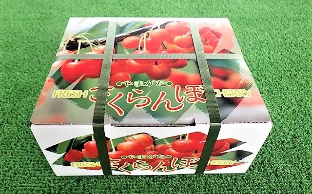 さくらんぼ（佐藤錦か紅秀峰）５００ｇ　２Ｌサイズ　0032-2601