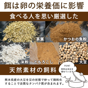 No.781 ＜定期便・全6回(連続)＞鹿児島県産有精卵(40個×6ヶ月連続) 割れ保証付 国産 九州産 鹿児島県産 たまご タマゴ 有精卵 卵 鶏卵 生卵 おかず TKG 卵かけご飯 朝食 定期便 頒布会 数量限定【美山たまご王国】