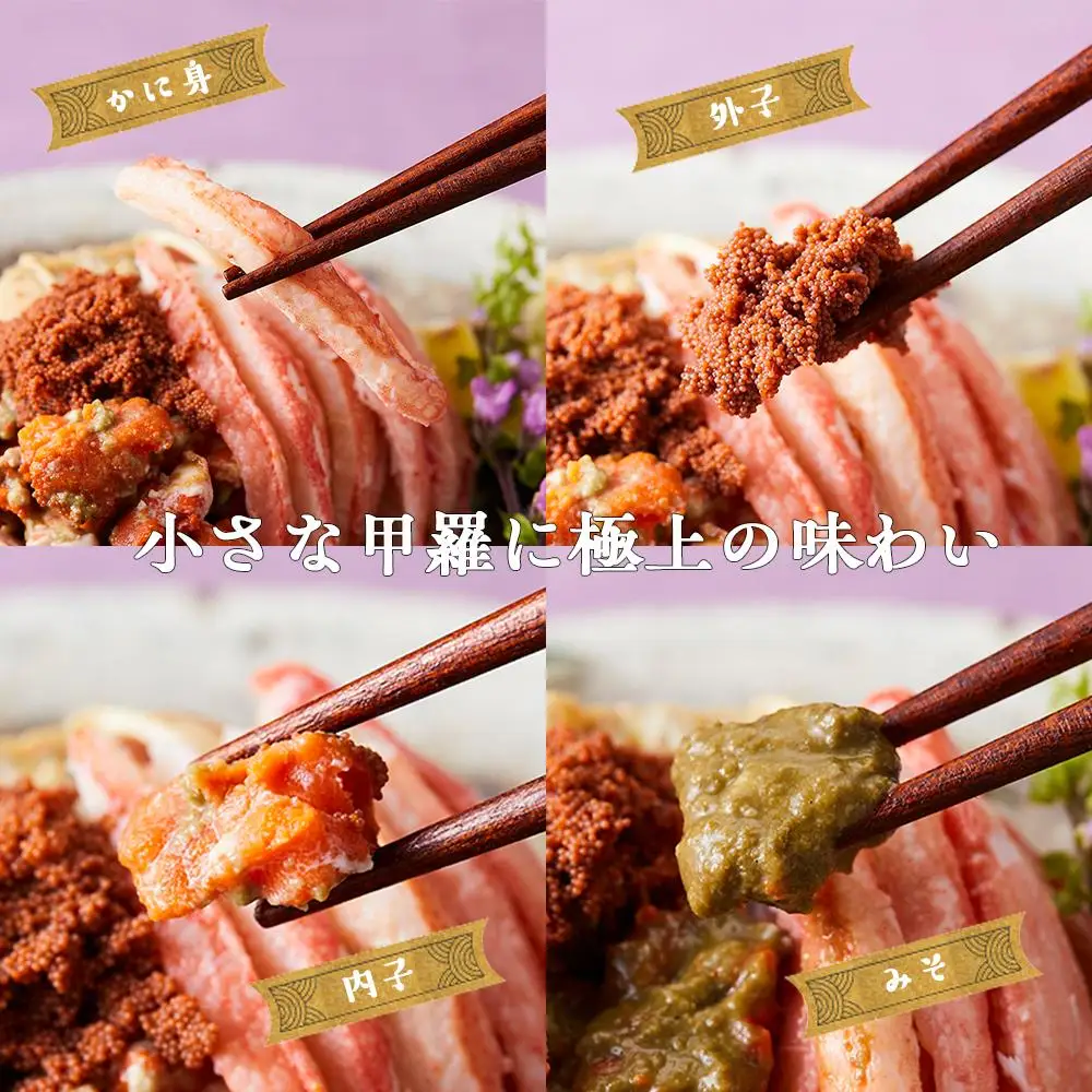 【2026年 予約受付】【訳あり】金沢港より直送！ボイル 香箱ガニ 5杯セット  2026年発送 香箱かに 蟹