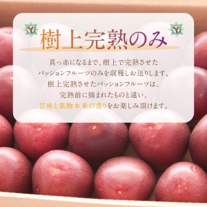 【 2026年 先行予約 】 それいゆ パッションフルーツ 2kg A006-014 果物 フルーツ パッション それいゆパッションフルーツ トロピカルフルーツ 南国フルーツ 先行受付 事前予約 事前受付 受付 予約 限定 芳醇 農家直送 奄美大島産 ソレイユスマイル ふるさと納税 奄美市 おすすめ ランキング プレゼント ギフト