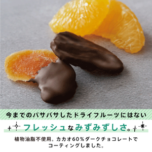 【7営業日以内発送】チョコ 不知火フルーツチョコレート 3袋入(1袋58g入)  計174g 新感覚 楽天チョコレート売上1位