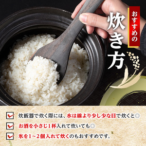 出水産 ブレンド米 10kg 訳あり 白米 精米 数量限定 【田上商店】 i673