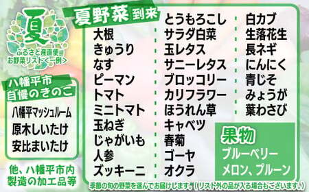 【旬の野菜セット】八幡平のふるさと産直箱（大） 隔月／計3回  ／ 野菜 採れたて 新鮮 おまかせ 詰め合わせ 野菜の詰合せ やさい 季節 旬 産直箱 産地直送 直送 葉物 自宅用 家庭用 お取り寄せ お取寄せ 人気 おすすめ オススメ 【あすぴーて】