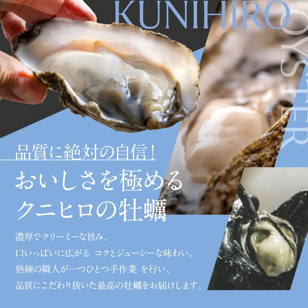広島県産冷凍スチーム牡蠣 2L 約1kg