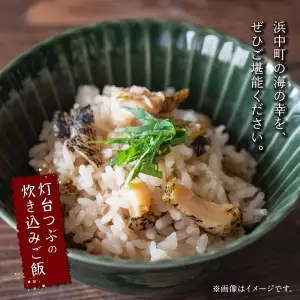 北海道浜中産　灯台つぶ(ボイルむき身)　300g×3パック 国産 食品 貝 ボイル むき身 真空 冷凍 小分け 個包装 食べきりサイズ 海産物 海鮮 魚貝類 お取り寄せ お取り寄せグルメ 人気 北海道産 北海道 浜中町 送料無料_230208