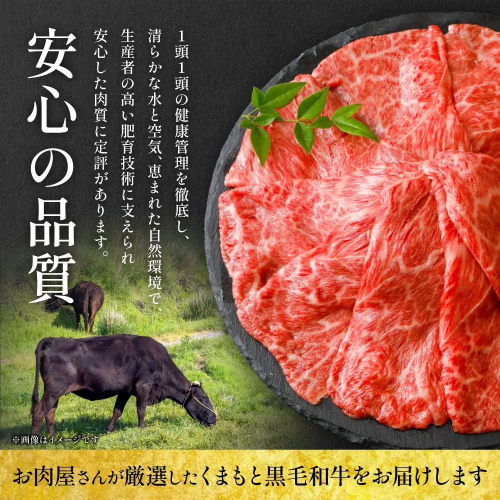 牛肉 くまもと黒毛和牛 赤身 スライス 合計900g （ モモ ウデ スライス 300g × 3 ）牛肉