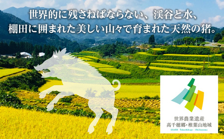天然猪肉 スライス 700g 宮崎県高千穂町産 ジビエ 天然 猪肉 いのしし ジビエ ジビエの王様 狩猟肉 獣肉 狩猟 加工済み 処理済み 高タンパク 焼肉 鍋 ぼたん鍋 BBQ キャンプ グランピング アウトドア お取り寄せグルメ グルメ 料理 おかず 冷凍 高千穂町産 宮崎県 高千穂町 _Tk005-084