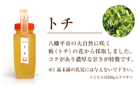 純粋はちみつ アカシア 450g & トチ 500g 【山本養蜂場】 ／ 蜂蜜 ハチミツ 栃 とち アカシヤ 味比べ 濃厚 希少 稀少 純粋 プチギフト ギフト 贈り物 お取り寄せ 有名 東北 岩手県 八幡平市 産地直送 人気 おすすめ オススメ