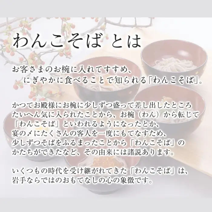 【北舘製麺】半なまわんこそば 6人前（KW-A） ／ 蕎麦 わんこそば そば つゆ付き めんつゆ そばつゆ お中元 お歳暮 お土産 おみやげ 手土産 贈り物 熨斗 名物 ご当地グルメ 年越し おみやげ お土産 箱入り 人気 おすすめ オススメ