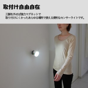 RITEX ASL-090 LEDどこでもセンサーライト《防犯 防犯ライト 乾電池式 LED センサーライト 非常灯 防犯グッズ 屋外 キャンプ ムサシ 送料無料 ふるさと納税 返礼品 おすすめ 日用品 プレゼント》【2400O10802】