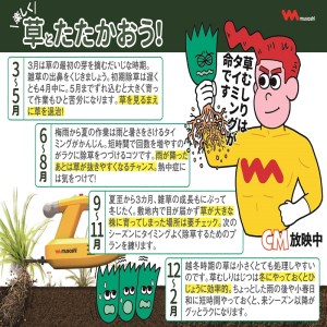 Musashi WE-750 除草バイブレーター〈除草 ムサシ 除草グッズ 草取り 日用品 返礼品 ギフト プレゼント 持ち運べる 便利 送料無料 おすすめ〉【2403O10807】