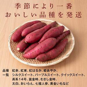 《先行予約》富の川越いも5kgセット(2026年11月上旬頃より順次発送予定) FAA-027