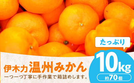 伊木力みかん10kg 温州みかん 10kg AHBD001