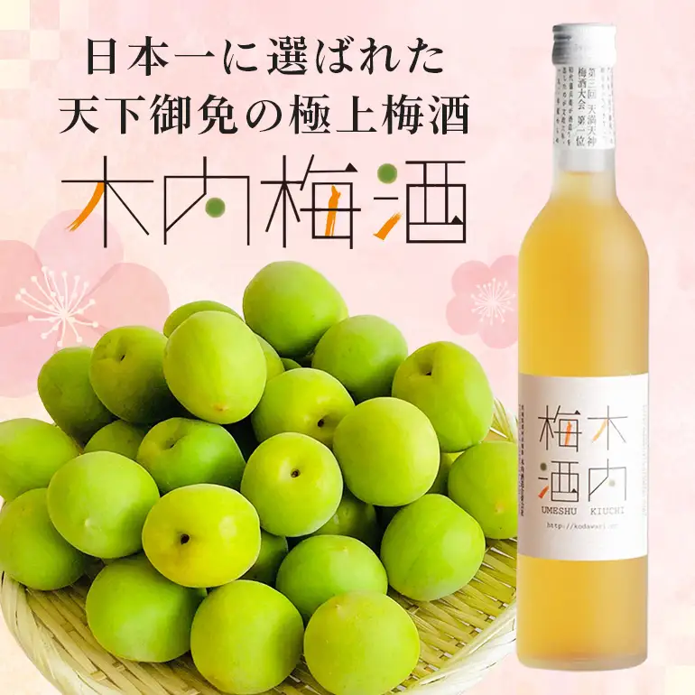 梅酒 木内梅酒 3本セット 500ml×3本 父の日 まだ間に合う 果実酒 ウメ 人気 お土産 ギフト フルーティー 内祝い ご褒美 国産 紀州南高梅使用 お歳暮 お歳暮ギフト プレゼント お中元 敬老の日 うめ酒 梅酒 酒 アルコール 梅 常温 常温保存 