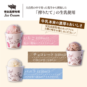 【安比高原】 レアチーズケーキ＆アイスセット ／ スイーツ デザート ケーキ ホールケーキ チーズケーキ ちーずけーき 冷凍ケーキ アイス アイスクリーム カップアイス あいすくりーむ グルメ 詰合せ 詰め合わせ セット お土産 贈り物 ギフト プレゼント