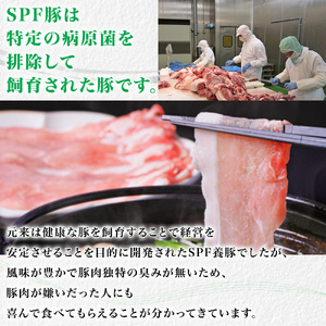 【東庄町産SPF豚肉】 焼肉＆しゃぶしゃぶセット 計2kg  （ロース1kg バラ1kg） 豚肉 豚 ロース バラ 焼肉 焼き肉 しゃぶしゃぶ 真空パック 冷蔵 柔らかい 詰め合わせ 千葉県 東庄町