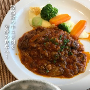 宮崎牛 牛すじ 1kg N0140-YA2293