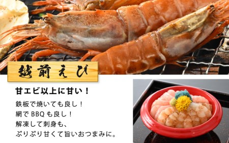 海鮮 BBQ おつまみセット「越前えび ＆ 片貝ほたて」約4～5人前（越前えび500g 片貝ほたて10枚）【ホタテ がまえび】 [e04-a063]