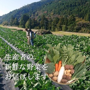 『定期便』野菜詰め合わせセット3ヵ月