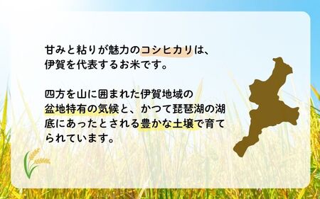 令和7年産 伊賀米コシヒカリ 8kg（3kg＋5kg） コシヒカリ【jaig0001】