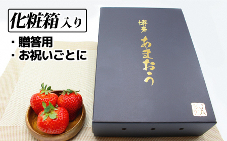 【先行予約】1月より順次発送！「博多あまおう」EX　贈答用化粧箱　約450g 1箱【ほたるの里】_HA0752
