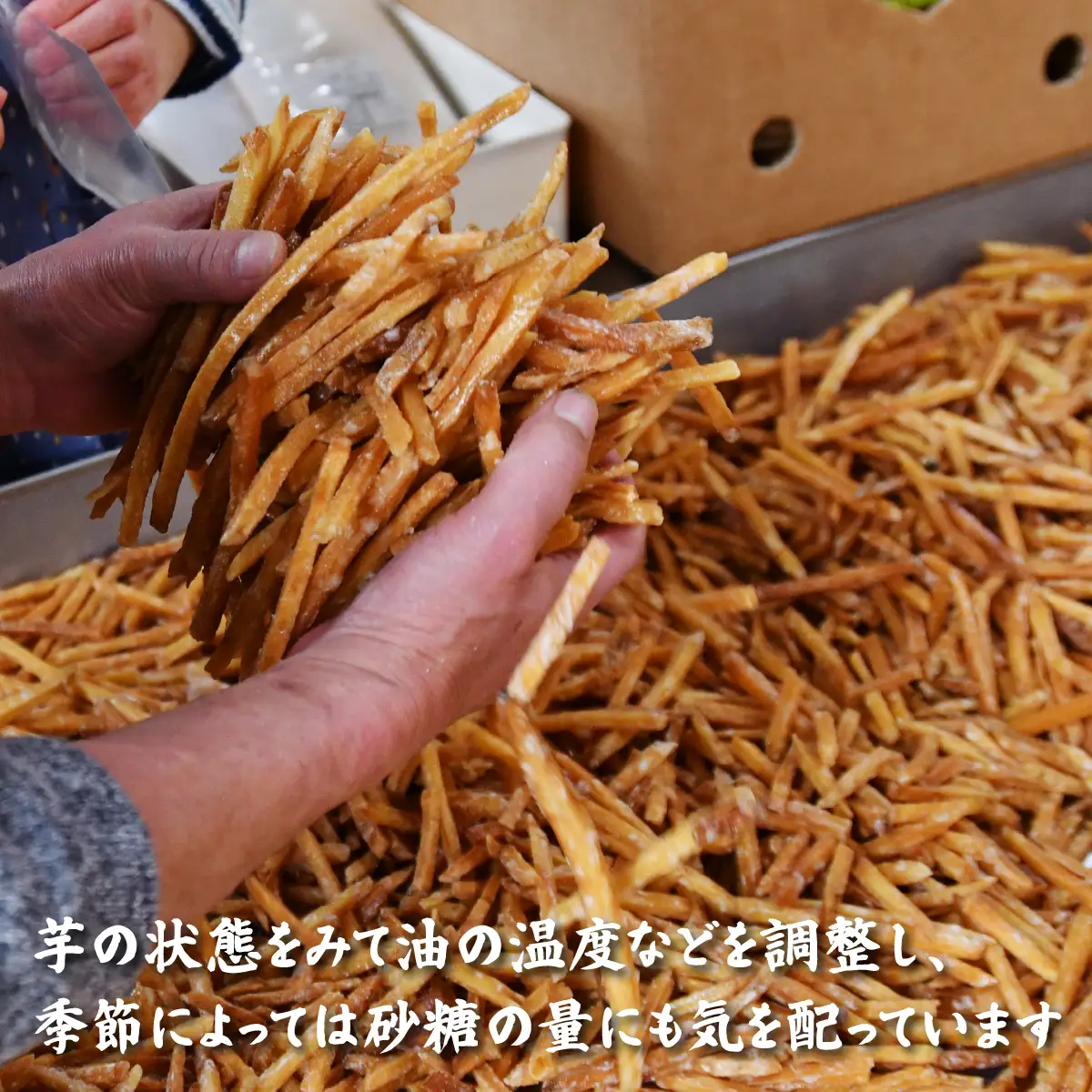 芋けんぴ 上島町 岩城島 名産 芋菓子 袋6袋 さつまいも