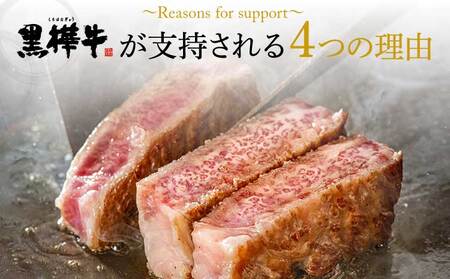 ステーキ 牛肉  BBQ 計600g 200g×3枚