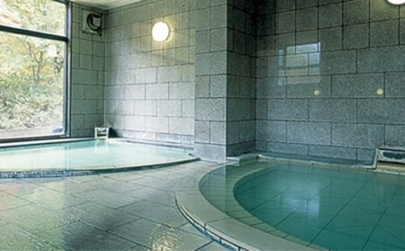 秘湯 源泉かけ流し 【松川温泉 松川荘】 1泊2食付 1名様 和室D ／ 宿泊券 温泉 温泉宿 露天風呂 旅行 観光 観光旅行 トラベル 旅 お泊り 一泊二食 1泊2食 食事付き お一人様 1名 一名 ソロ旅 癒し リラックス 自然 和室 おすすめ オススメ