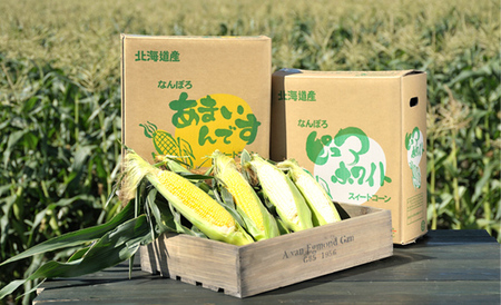 北海道産 とうもろこし 令和8年発送 ピュアホワイト10本＆あまいんです10本 食べ比べ 南幌町 NP1-171