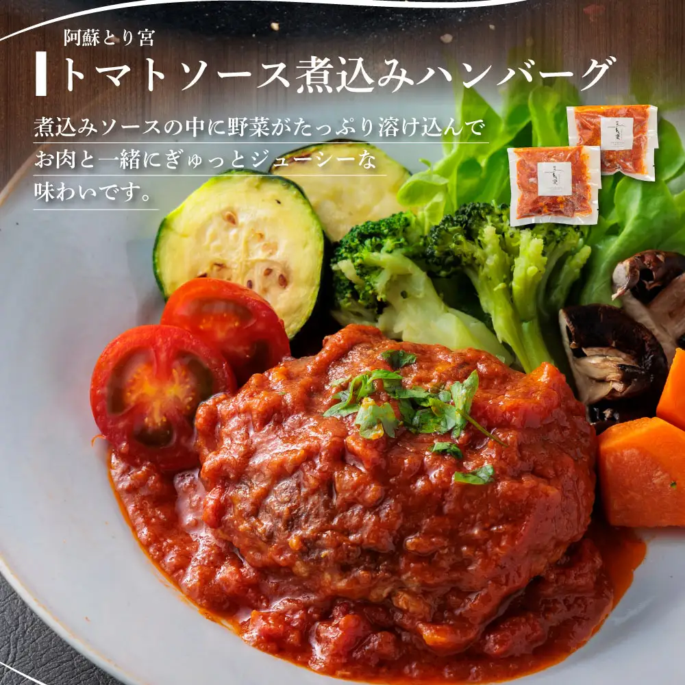 種類いろいろ！ハンバーグ セットver.2