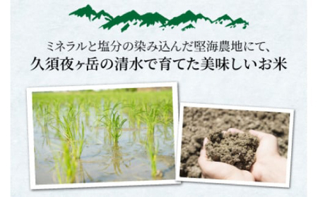 【 先行予約 /10月以降配送】【令和7年産】福井県産コシヒカリ「千石」 10kg 小浜市 / 千石の郷  [BFCA001]