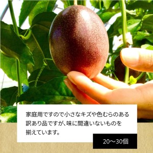 【 2026年 先行予約 】 奄美 の パッションフルーツ 2kg A041-001 パッション フルーツ フルーツ 果物 くだもの 訳あり 訳アリ ワケアリ デザート 朝食 昼食 期間限定 限定 奄美大島産 奄美産 美味しい さわやか 甘酸っぱい 南国フルーツ まるか農園 ふるさと納税 鹿児島 おすすめ ランキング プレゼント ギフト