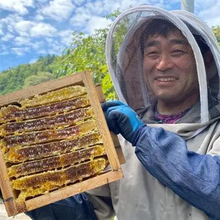 津和野の木や花の蜜を集めた天然百花蜜「里山の雫」(315g×2瓶)【1354901】