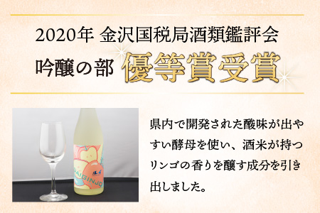 【受賞シリーズ】優秀賞作品６代目初作品 大吟醸 「ルイ」720ml （木箱入り）[A-047003]