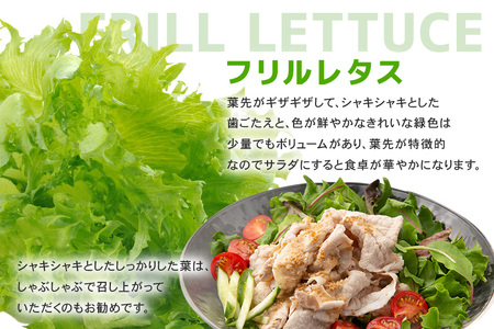 リーフレタスセット 約2Kg 那珂市産 新鮮 レタス リーフレタス フリルレタス グリーンリーフ 無農薬 野菜 栽培期間中農薬不使用 詰め合わせ セット 水耕栽培 LED 栽培 ベジタブル 副菜 常備菜 サラダ ヴィーガン ヘルシー