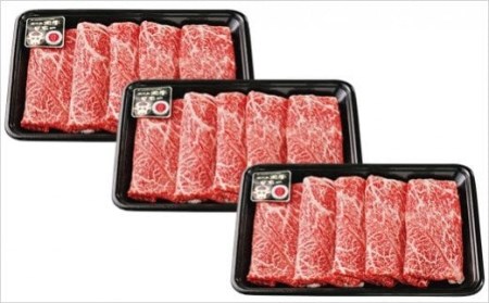 鹿児島 黒牛 ウデスライス (900g) [D-3501]　NFN322【600pt】