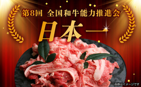 【12回定期便】【飛騨牛】A5等級切り落とし 500g[TAZ014] しゃぶしゃぶ