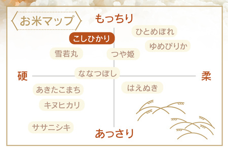 令和7年度産 みねしまふぁーむ 常陸牛農家が育てるコシヒカリ 5kg コシヒカリ 低農薬 低化学肥料 米 発送直前に精米 精米 コシヒカリ米 茨城県産 白米 お米 コメ おこめ こめ こしひかり 有機 ブランド 健康 ギフト 贈り物 A31-001