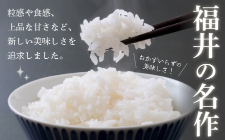  令和7年産 いちほまれ 10kg (5kg×2)「福井県ブランド」 特A通算6回獲得！【白米】【人気品種】 [e30-c015]