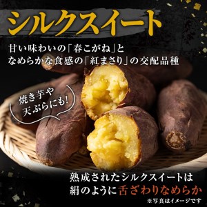 a845-A 鹿児島県産さつまいもシルクスイート土付き5kg(生芋)【コウエイ環境】