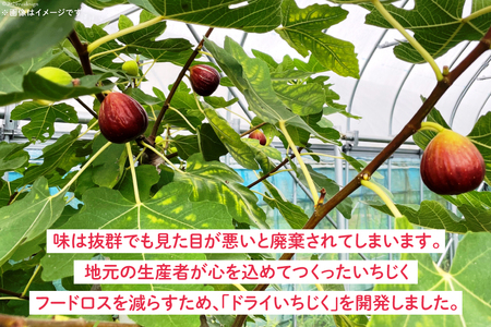 【期間限定発送】 ドライフルーツ いちじく 50g [モアショップヤマモト 石川県 宝達志水町 38601069]