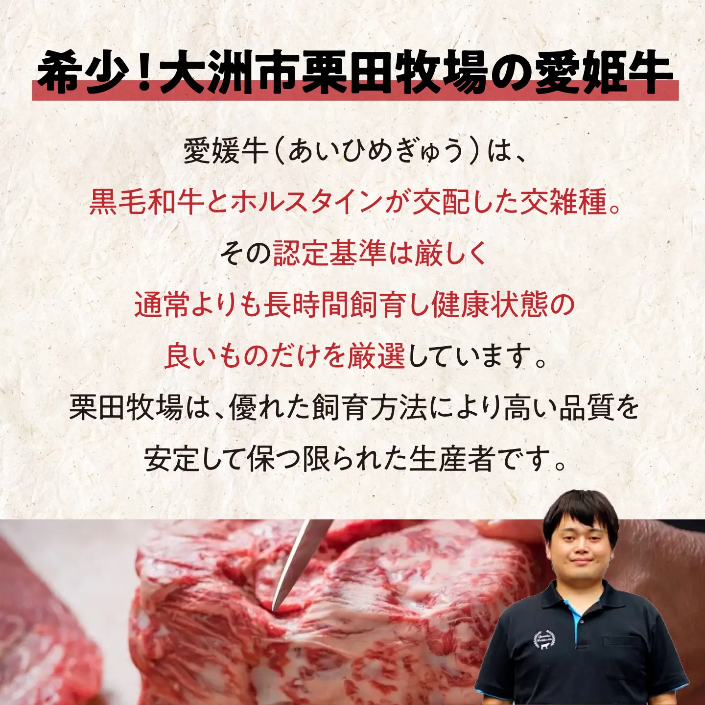 牛肉 愛姫牛 しゃぶしゃぶ用（550g）牛肉 [AGCC002]