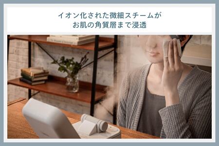 フェイススチーマー(ESH-2787W)