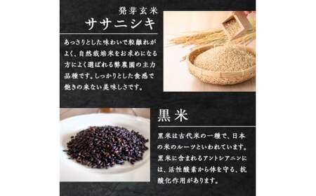 発芽玄米パックご飯 150g×40パック ササニシキ発芽玄米 黒米 発芽玄米 レンジ 有機栽培 パックライス ご飯 米 レンチン 【有機農園ファーミン株式会社】 tm121