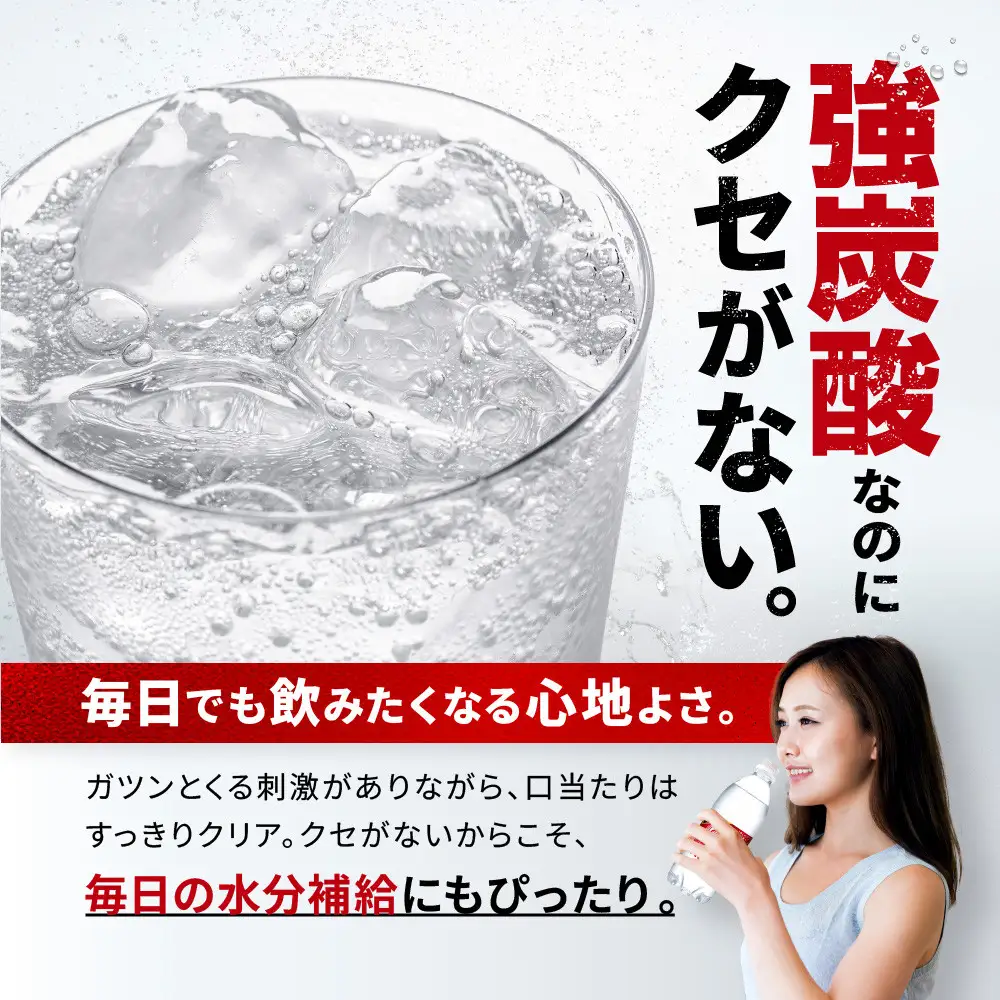 アサヒ飲料 ウィルキンソン タンサン（500mlペットボトル×24本×2箱）