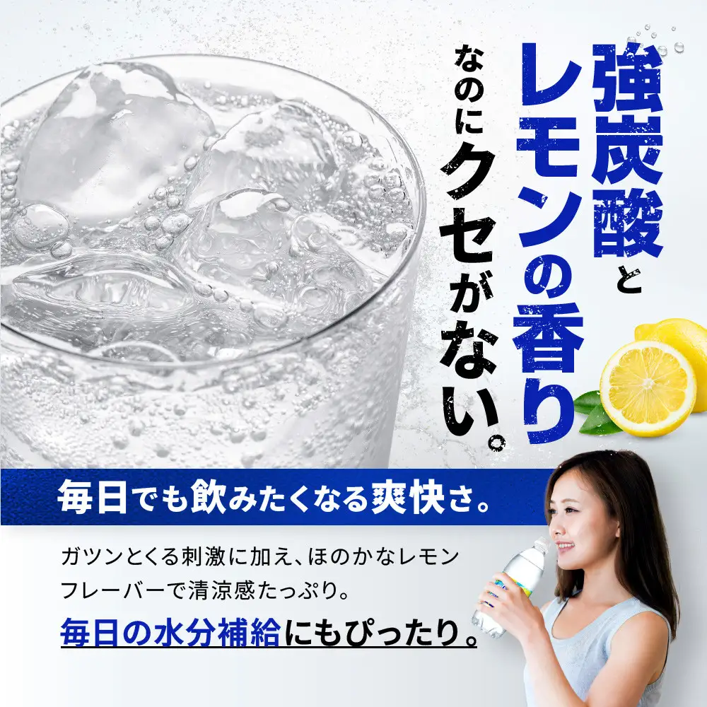 アサヒ飲料 ウィルキンソン タンサン レモン（500mlペットボトル×24本×2箱）
