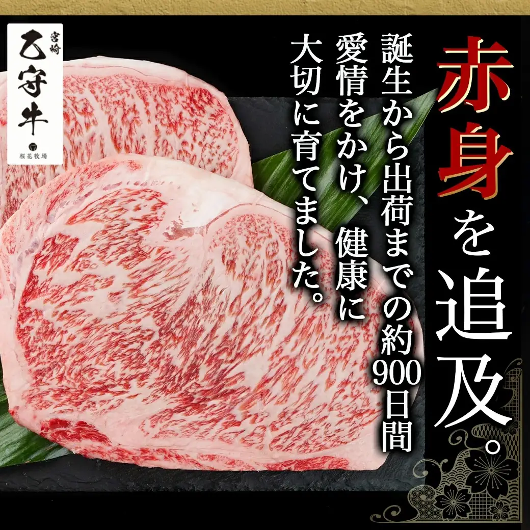 数量限定！【宮崎牛A5】ロースステーキ 計約440g(2枚) (乙守牛)〔26-6501〕_(都城市) 都城産宮崎牛 乙守牛 A5 リブロースもしくはサーロイン 2枚 約440g 真空パック ギフト 贈答用 
