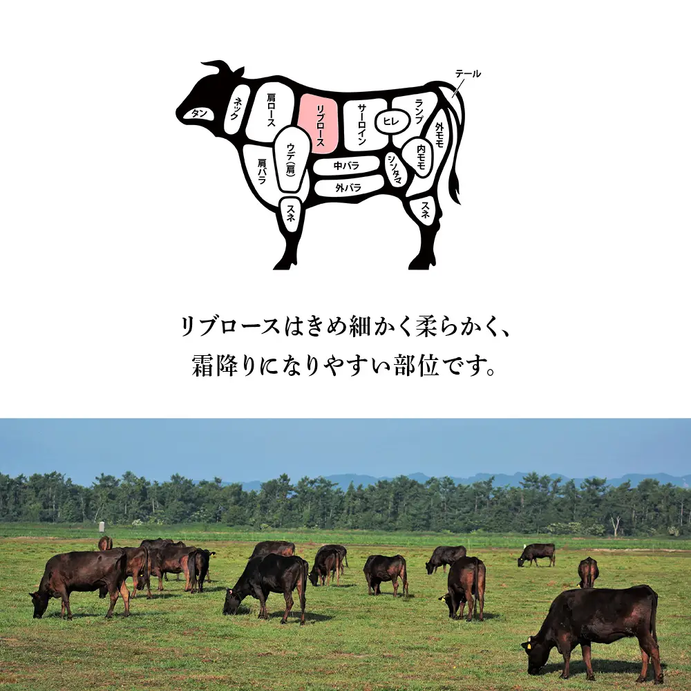 北海道 白老産 黒毛和牛 リブロース すき焼き 1kg (5・6人前) BS022