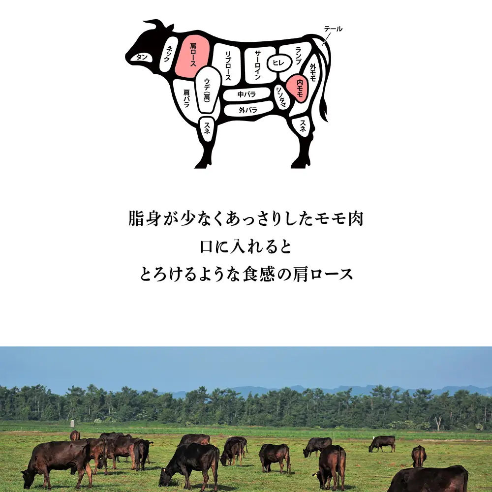 北海道 白老産 黒毛和牛 すき焼き 食べ比べ 計1kg (特上モモ・肩ロース 各500g) BS029
